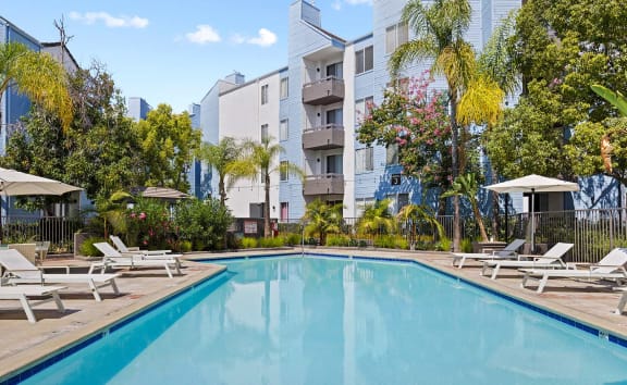 our apartments showcase an unique swimming pool at Enclave, California