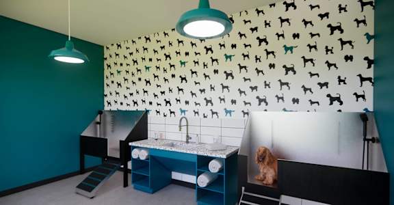 a bathroom with a blue vanity and a dog on the wall