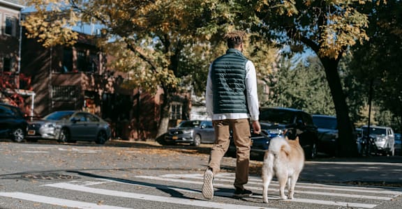 A man walking a dog across a street.