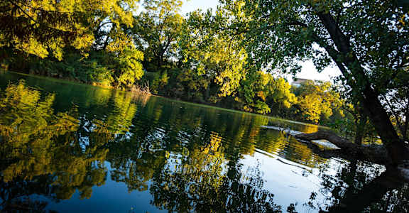 a view of a lake with trees on the side of it
