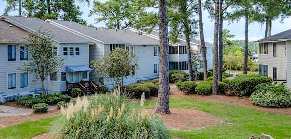 Outdoor Greenery at River Crossing Apartments, 31404