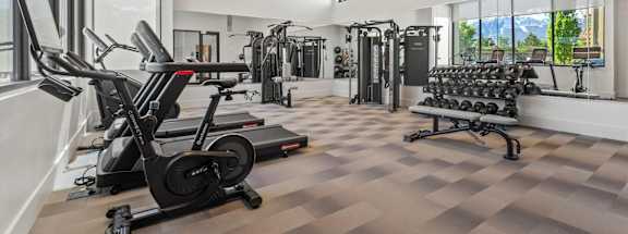 A gym with treadmills, elliptical machines, and dumbbells.