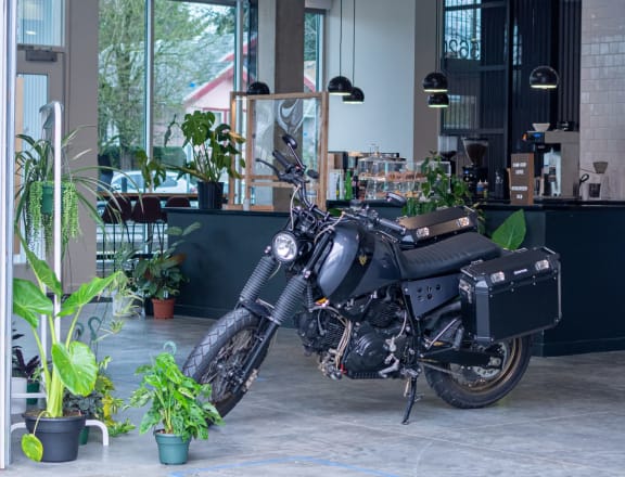 a black motorcycle parked in a room with plants