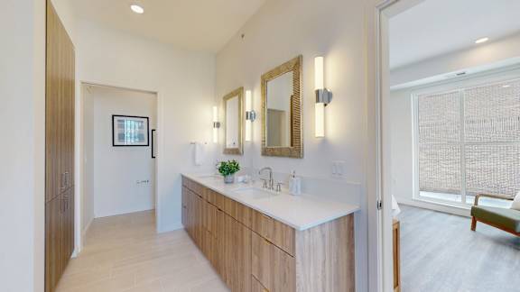 A bathroom with a vanity, mirror, and a plant.