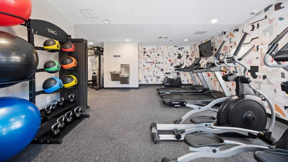 a gym with weights and dumbbells on the wall at Chapel Ridge of Gallatin, Tennessee, 37066