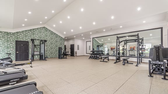 Updated Fitness Center at Alexander at Stonecrest Apartments, Lithonia, GA 30058