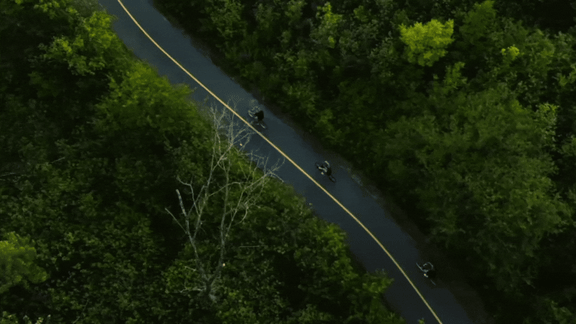 A winding road cuts through a dense forest.
