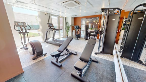 a gym with weights and cardio equipment in a hotel gym