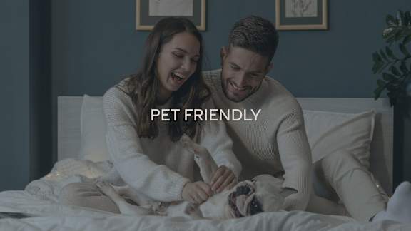 A man and woman are petting a dog on a bed.