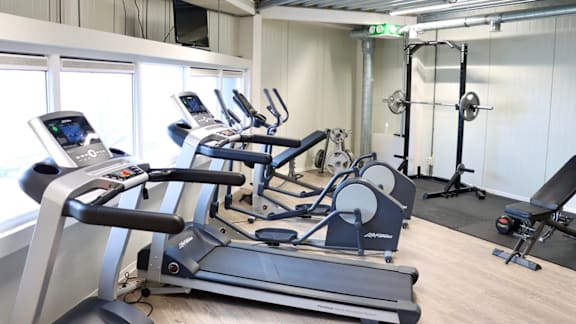 A gym with treadmills and exercise equipment.