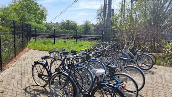 A bunch of bicycles are parked on a brick path.
