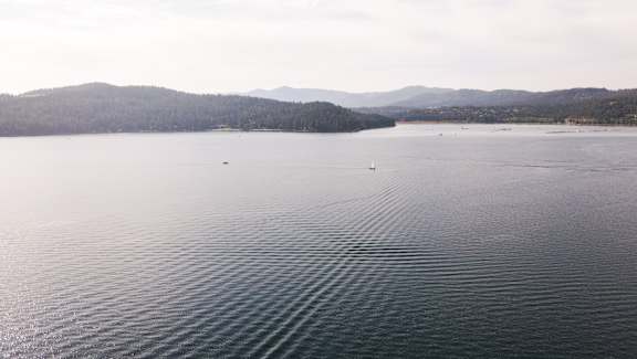 A calm lake with a forest of trees on the shore.