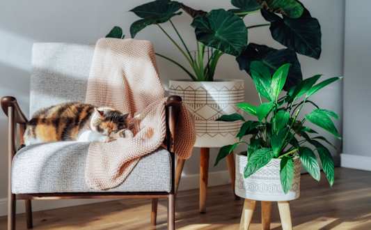 A cat is sleeping on a chair with a blanket.