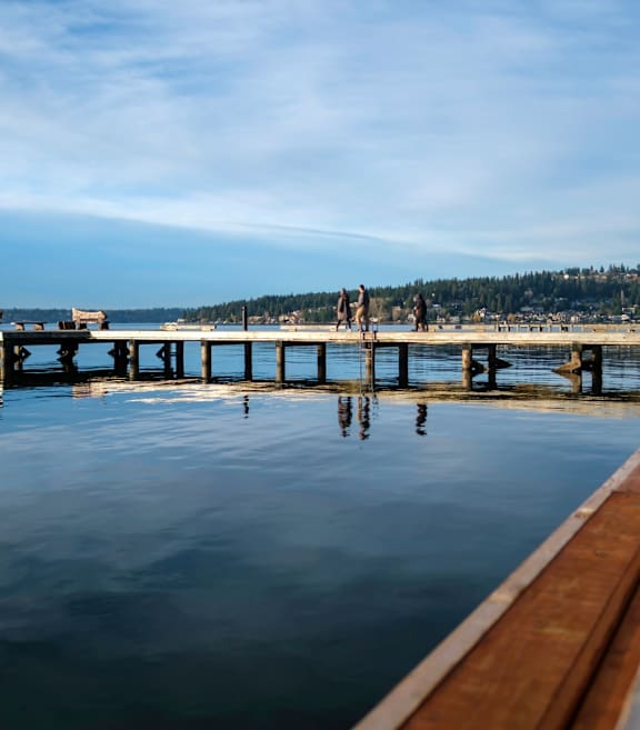 People Walking on Pier Over Lake