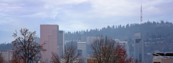The Century Apartments in Portland, Oregon Views
