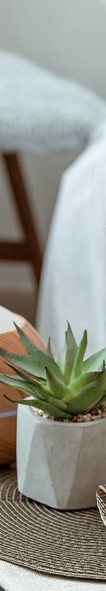 a coffee table with a plant and candles on it