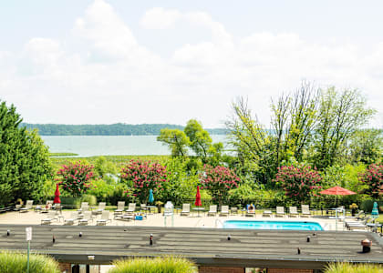 a pool with a lake in the background at a resort