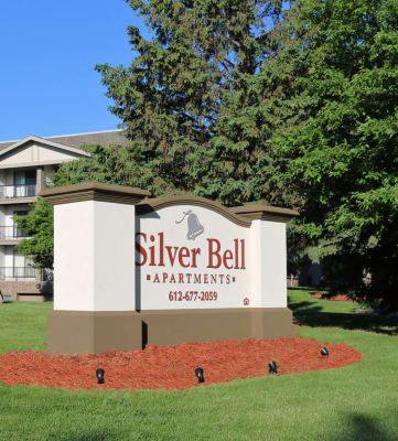 Services  Silver Bell Chiropractic Eagan MN