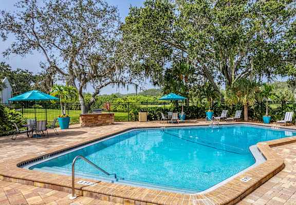 a resort style pool with chairs and umbrellas and trees at L'Estancia, Sarasota, FL