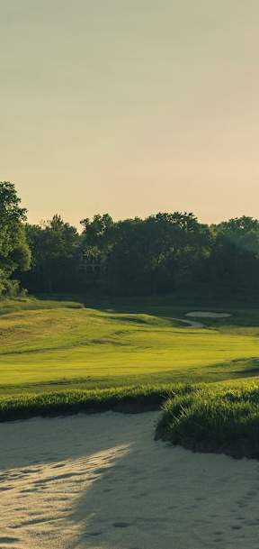 A beautiful golf course with a tree and a sand bunker.