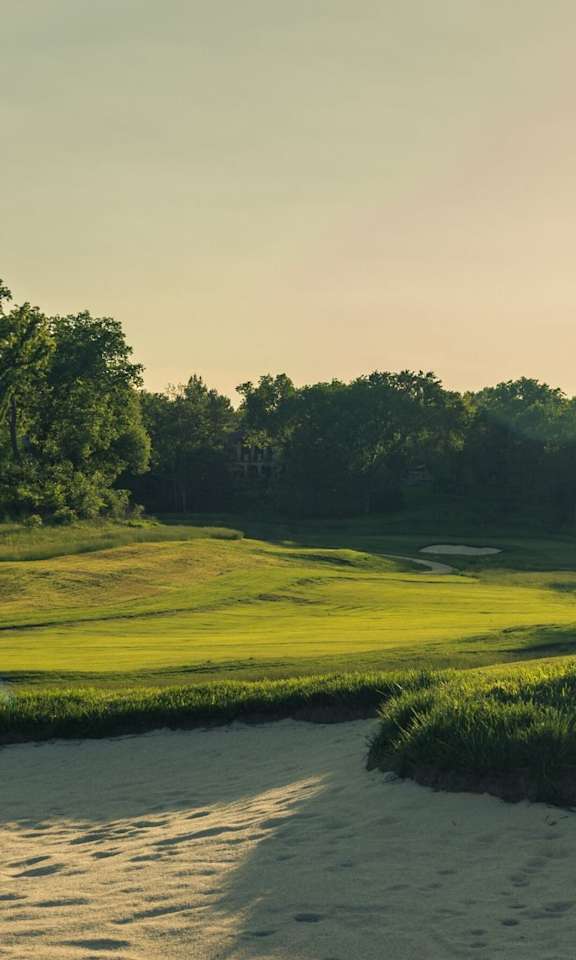 A beautiful golf course with a tree and a sand bunker.