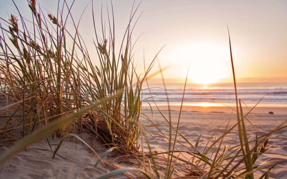 Beach at Sunset at Heritage Cove, 34997