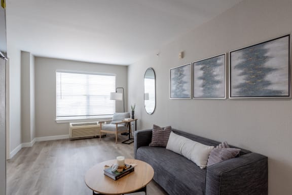 Studio Domain Apartments in Austin, Texas Model Studio Living Room Area