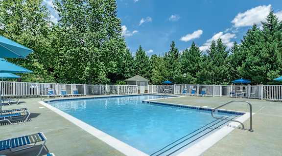 A large outdoor swimming pool surrounded by trees and lounge chairs.