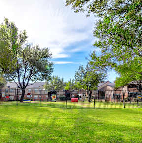 A grassy area with trees and a fence in the background.