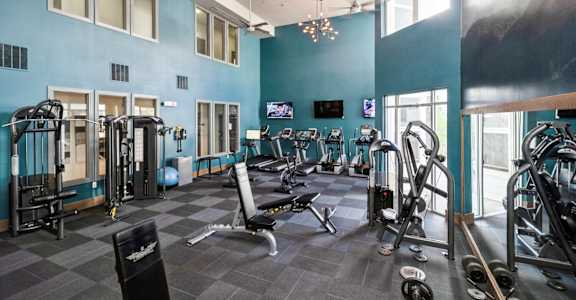 A gym with a variety of equipment including weights and cardio machines.