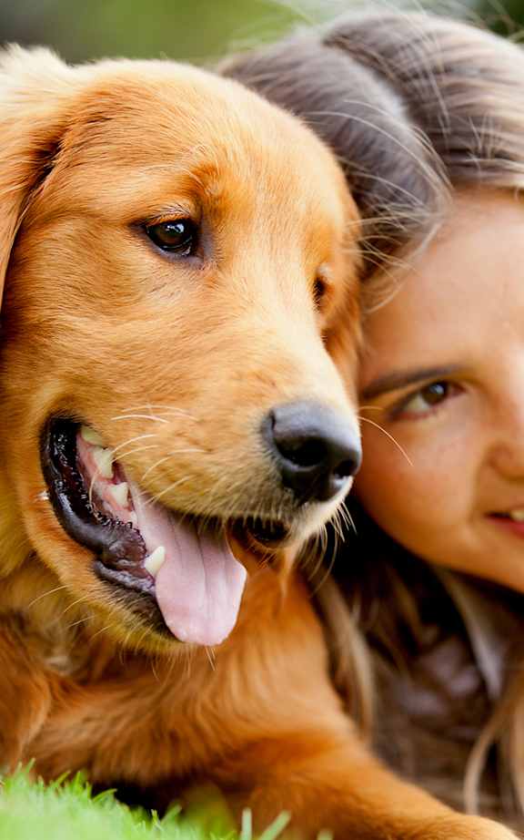 A woman and a dog are lying on the grass.