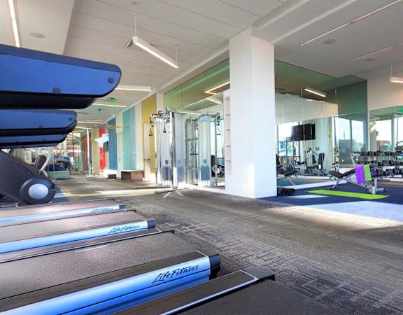 A gym with a variety of equipment including treadmills, weights and exercise machines.