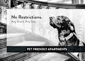 Thumbnail 15 of 17 - 1410 St. Paul Apartments Pet Friendly, No Restrictions