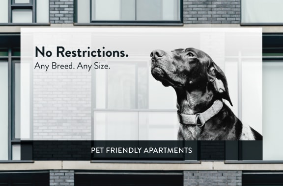 a dog looking out of a window with the words no restrictions any breed any site on it