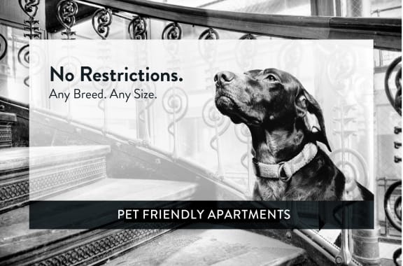 1410 St. Paul Apartments Pet Friendly, No Restrictions