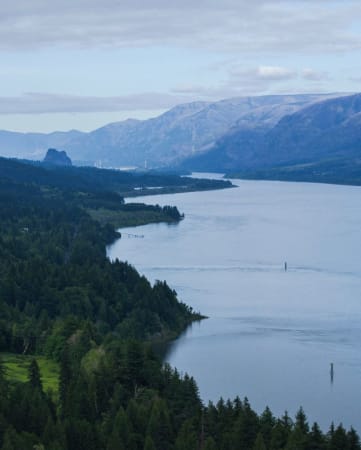 Beautiful View of Lake Surrounded by Trees