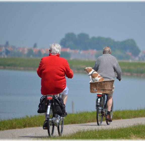 Three elderly people riding bikes on a path near a body of water.