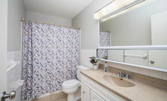 a bathroom with a shower curtain and a toilet and a sink