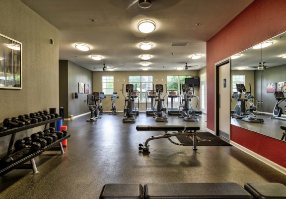 Fitness studio at The Villas at Main Street Apartments, Ann Arbor, 48103