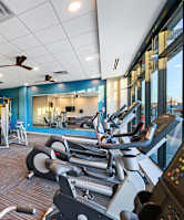 A gym with a variety of equipment including treadmills, weights, and a rowing machine.