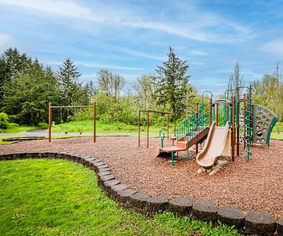 the playground at the preserve at ballantyne commons