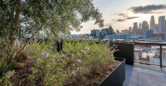 a view of the city skyline from a rooftop terrace