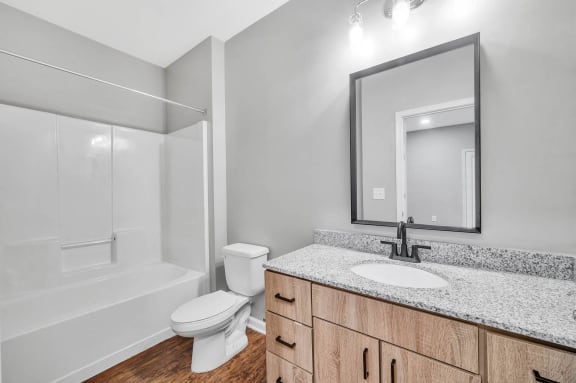 a bathroom with a mirror and a toilet and a sink