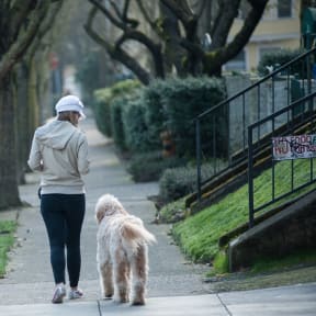Woman Walking with Dog on Sidewalk