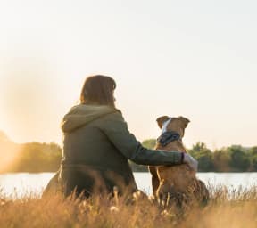 Woman Sitting with Her Dog in Front of Lake During Sunset