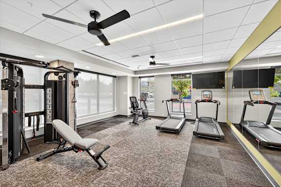 A gym with treadmills, weights, and a bench.