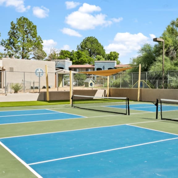 Domain 3201 Sports Court