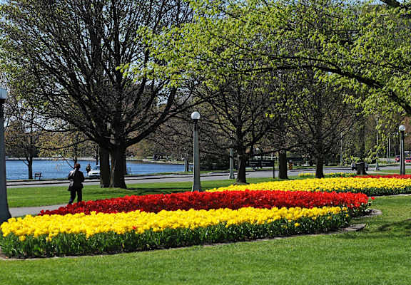 A park with a flower bed in the foreground and a person walking in the distance.