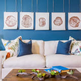 a living room with blue walls and a white couch at Villa Espada Apartments, San Antonio, Texas