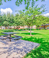 Village Park Apartments in Encinitas, CA has bright and spacious living rooms!